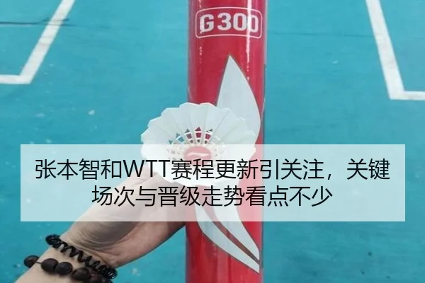 张本智和WTT赛程更新引关注，关键场次与晋级走势看点不少